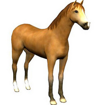 Horse Chinese Horoscope 2020